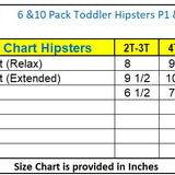 10 Pack Toddler Hipsters -  Cloudy