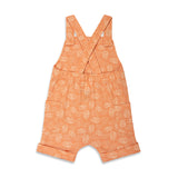 Beach Day - 2 Piece Shortall Set