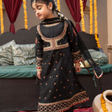 Shahzadi - 4 Pc Set