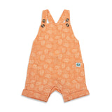 Beach Day - 2 Piece Shortall Set